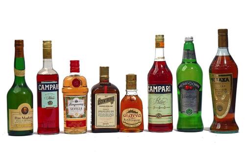 SEVEN BOTTLES OF MIXED SPIRITS AND A BOTTLE OF CIDER (8)