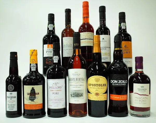 12 BOTTLES DESSERT AND FORTIFIED WINE & PORT