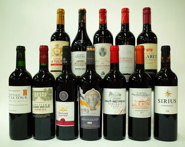 12 BOTTLES FRENCH RED WINE (BORDEAUX)