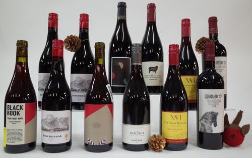 12 BOTTLES ENGLISH, SOUTH AFRICAN AND CHINESE RED WINE