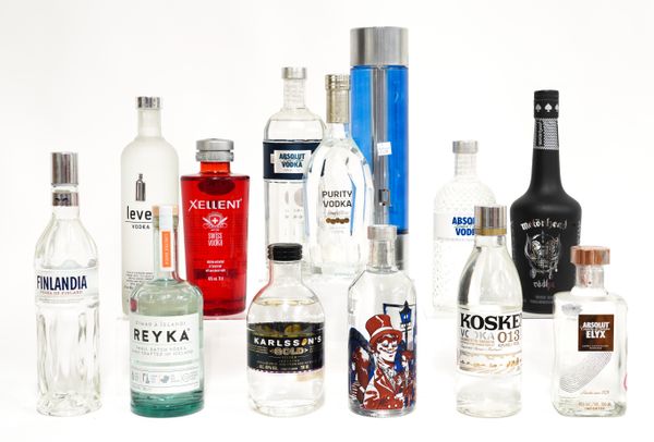 A COLLECTION OF THIRTEEN BOTTLES OF SWEDISH, FINNISH AND ICELANDIC VODKA (13)
