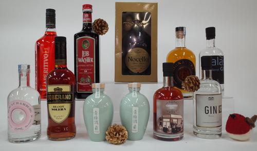 11 MIXED BOTTLES SPIRITS
