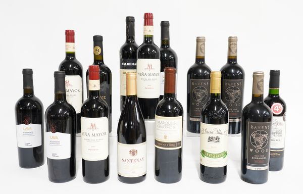 FIFTEEN BOTTLES OF MIXED RED WINE TO INCLUDE SANTENAY LES JUBLIERES 2014, VALDEMADERA FRAN RESERVA 2012 AND OTHERS (15)