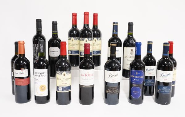 SEVENTEEN BOTTLES OF MIXED RED WINE INCLUDING LA TORRE SHIRAZ, SOLAR VIEJO RIOJA AND OTHERS (17)