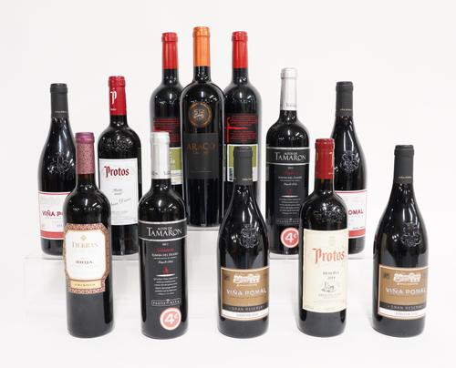 TWELVE BOTTLES OF MIXED RED WINE INCLUDING RIBERA DUERO PROTOS, WINA POMAL AND OTHERS (12)