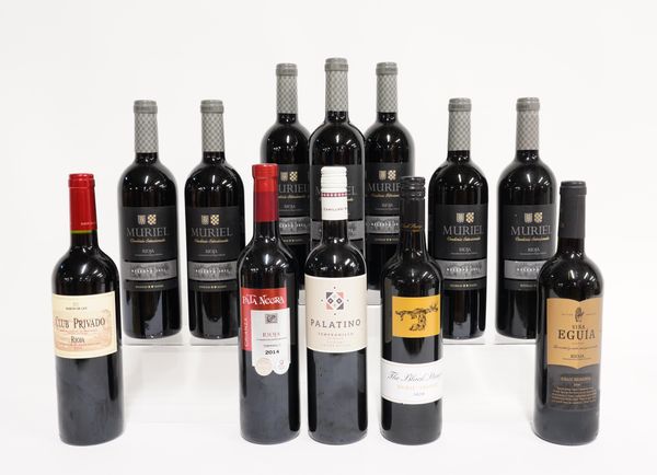 TWELVE BOTTLES OF MIXED RED WINE INCLUDING BODEGAS MURIEL RIOJA RESERVA 2011, PALATINO TEMPRANILLO 2017 AND OTHERS (12)