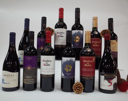 12 BOTTLES CHILEAN RED WINE