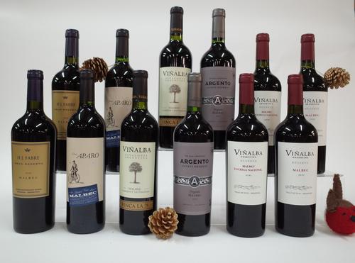 12 BOTTLES ARGENTINIAN RED WINE