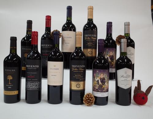 12 BOTTLES ARGENTINIAN RED WINE