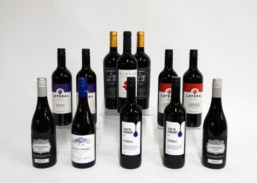 12 BOTTLES CHILEAN RED WINE