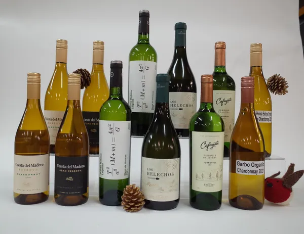 12 BOTTLES ARGENTINIAN WHITE WINE