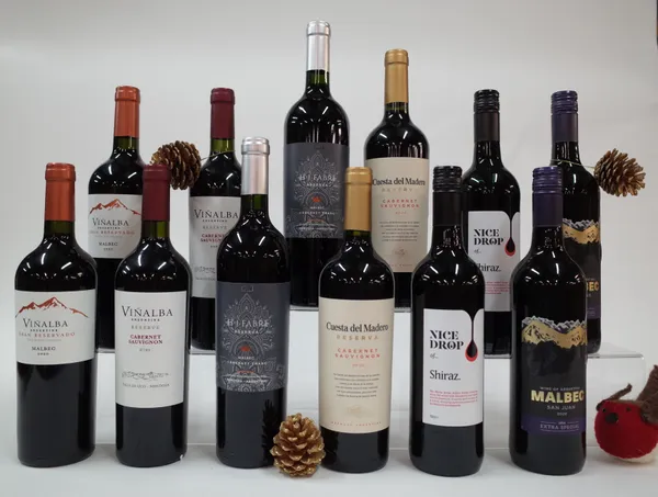 12 BOTTLES ARGENTINIAN RED WINE