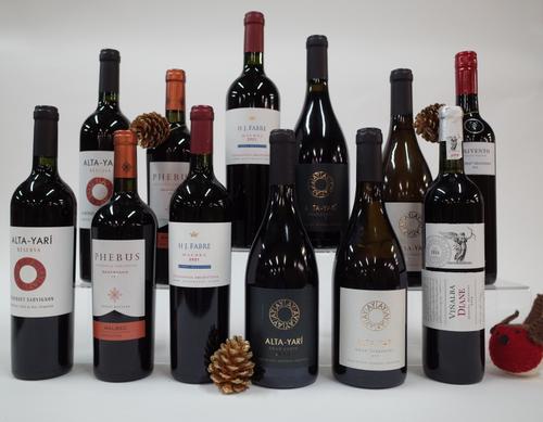 12 BOTTLES ARGENTINIAN RED WINE