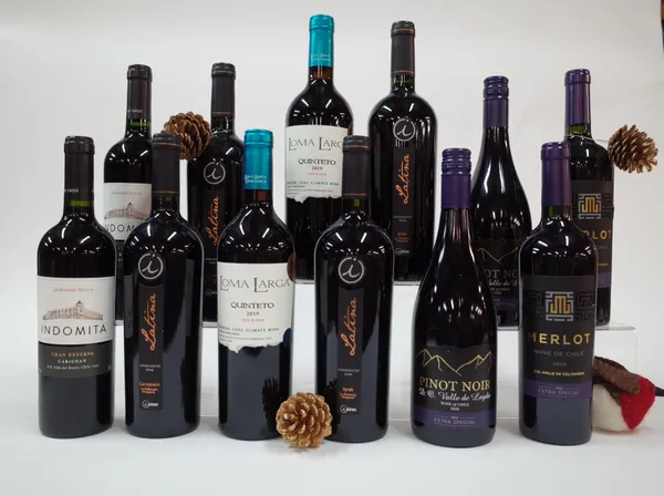 12 BOTTLES CHILEAN RED WINE