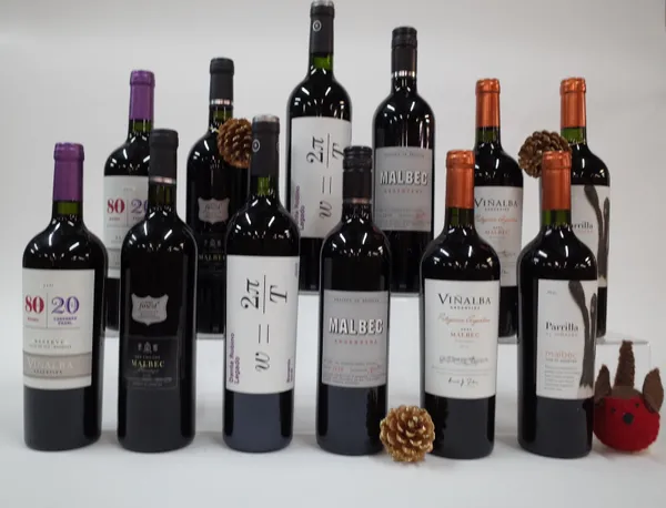 12 BOTTLES ARGENTINIAN RED WINE