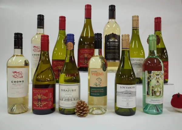 12 BOTTLES CHILEAN WHITE WINE