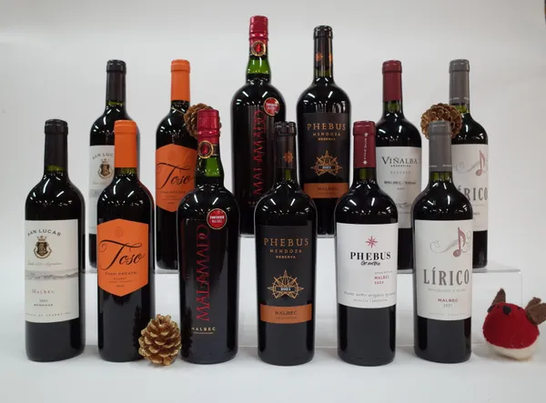 12  BOTTLES ARGENTINIAN RED WINE