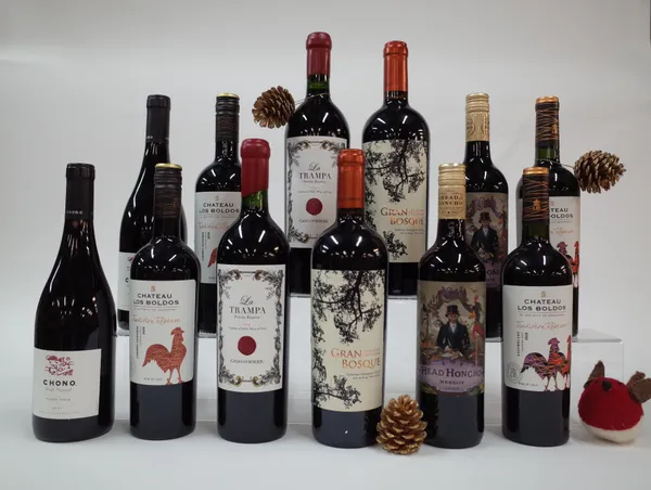 12 BOTTLES CHILEAN RED WINE