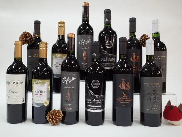 12 BOTTLES ARGENTINIAN RED WINE