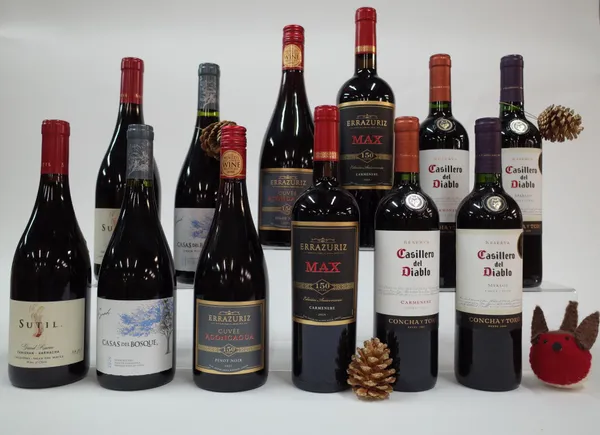 12 BOTTLES CHILEAN RED WINE