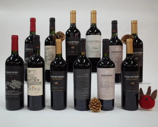 12 BOTTLES ARGENTINIAN RED WINE