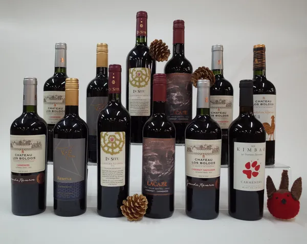 12 BOTTLES CHILEAN RED WINE