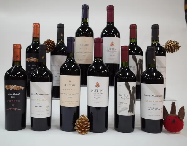 12 BOTTLES ARGENTINIAN RED WINE