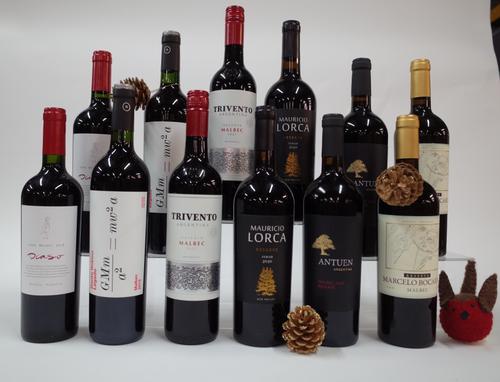 12 BOTTLES ARGENTINIAN RED WINE