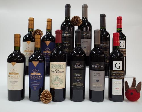 12 BOTTLES ARGENTINIAN RED WINE