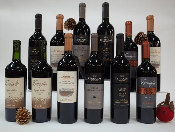 12 BOTTLES ARGENTINIAN RED WINE