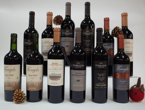 12 BOTTLES ARGENTINIAN RED WINE
