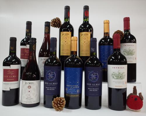 12 BOTTLES CHILEAN RED WINE