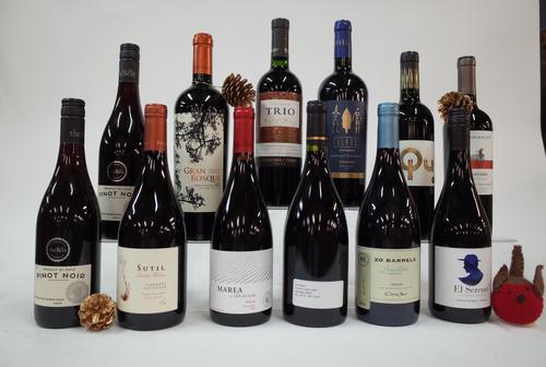 12 BOTTLES CHILEAN RED WINE