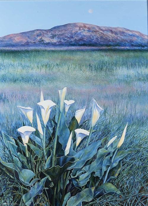 DIANE JOHNSON-ACKERMAN (SOUTH AFRICAN, 20TH/21ST CENTURY)