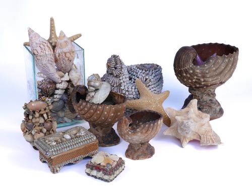 A GROUP OF VARIOUS MOSTLY BRITISH SEA SHELLS AND ORNAMENTAL TAZZE