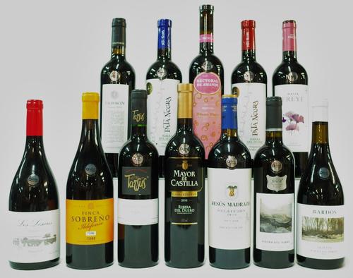 12 BOTTLES SPANISH RED WINE