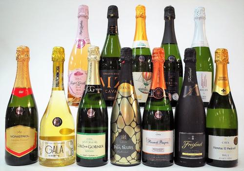 12 BOTTLES SPANISH CAVA