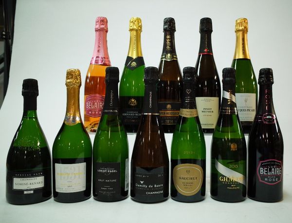 12 BOTTLES CHAMPAGNE AND SPARKLING WINE