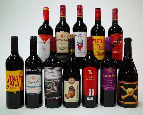 12 BOTTLES SPANISH RED WINE