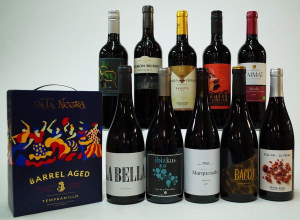 10 BOTTLES AND 1 BOX SPANISH RED WINE