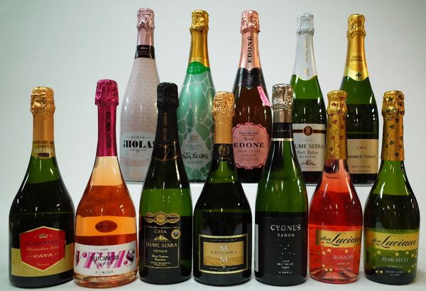 12 BOTTLES CAVA