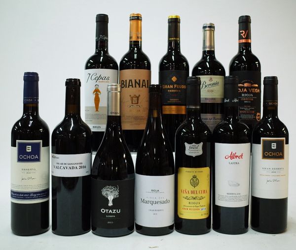 12 BOTTLES SPANISH RED WINE