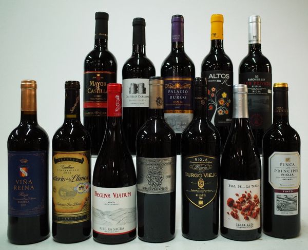 12 BOTTLES SPANISH RED WINE