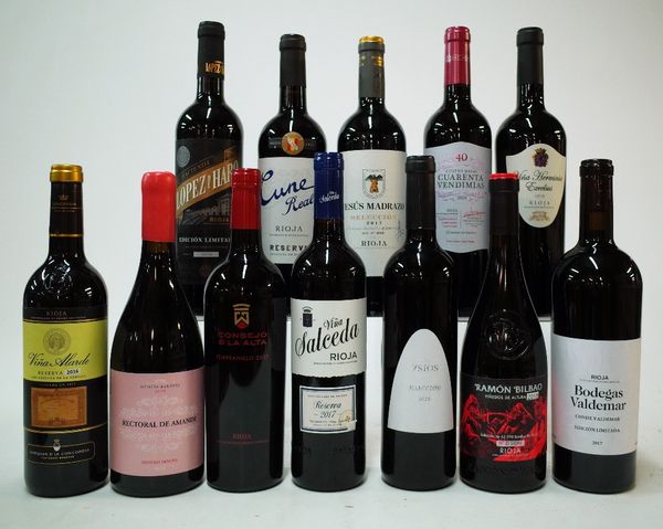 12 BOTTLES SPANISH RED WINE