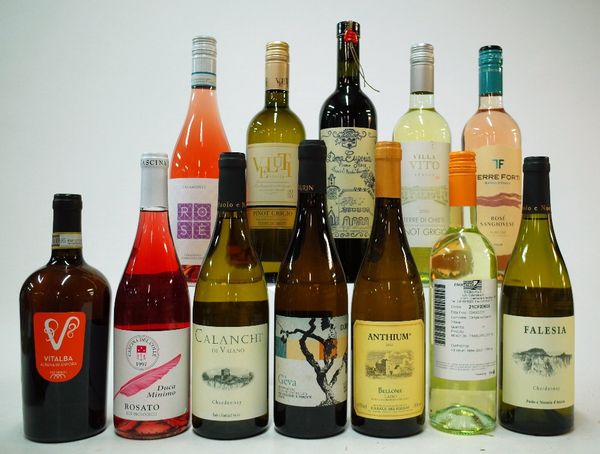 12 BOTTLES ITALIAN WHITE AND ROSE WINE