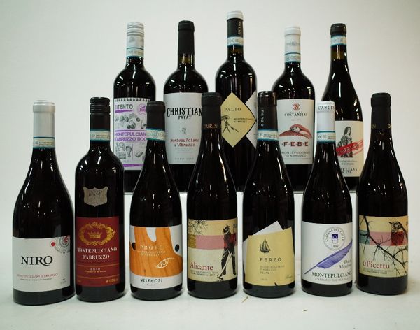 12 BOTTLES ITALIAN RED WINE (10 x MONTEPULCIANO D'ABRUZZO)