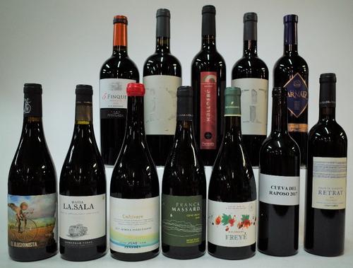 12 BOTTLES SPANISH RED WINE
