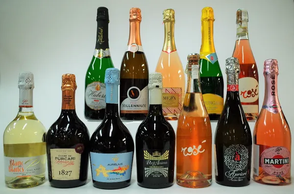 12 BOTTLES SPARKING WHITE AND ROSÉ WINE (MIXED ORIGIN)