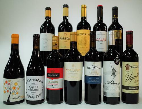12 BOTTLES SPANISH RED WINE