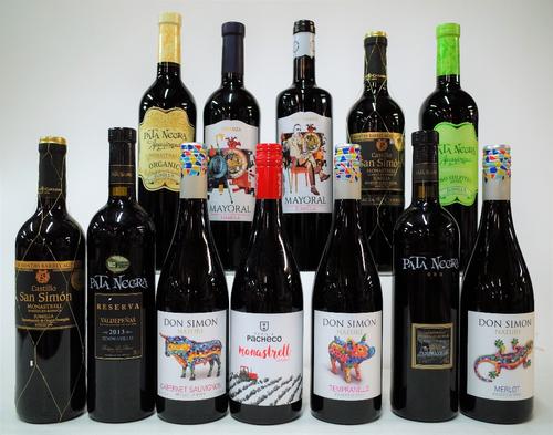 12 BOTTLES SPANISH RED WINE